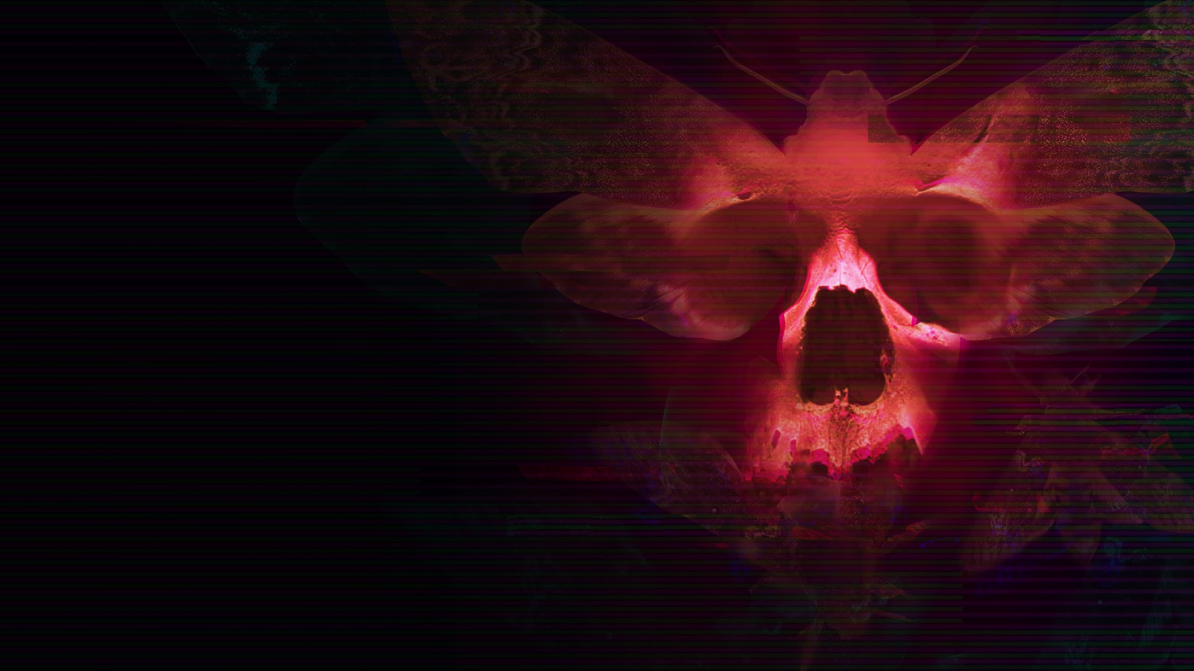 Transient: Extended Standard