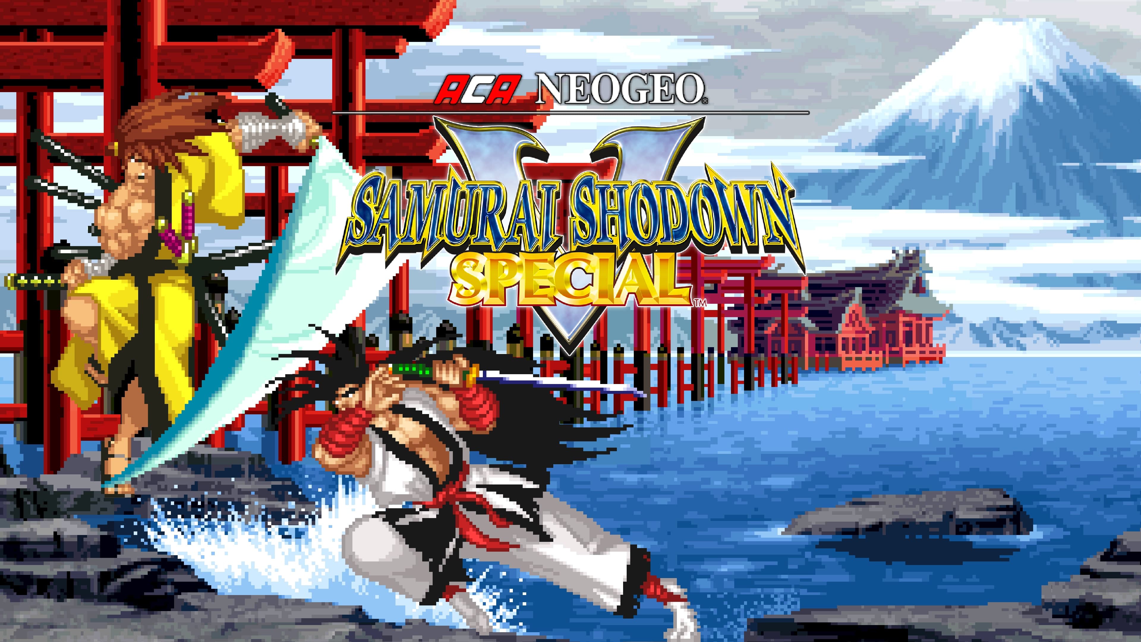 ACA NEOGEO SAMURAI SHODOWN V SPECIAL Standard
