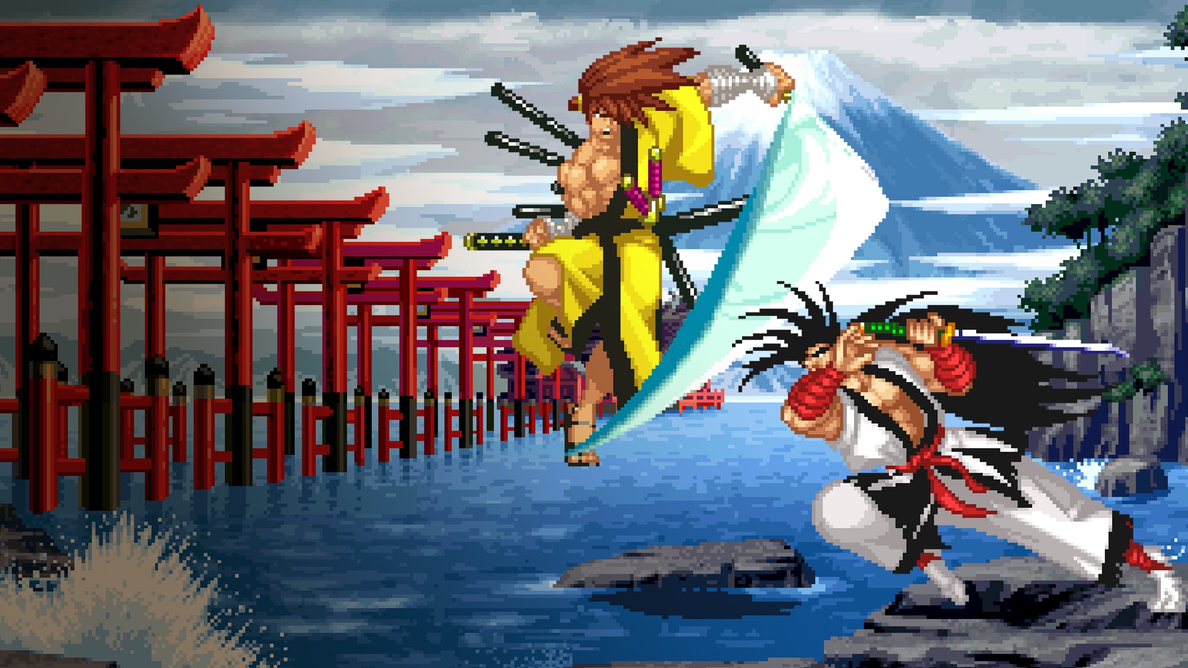 ACA NEOGEO SAMURAI SHODOWN V SPECIAL Standard