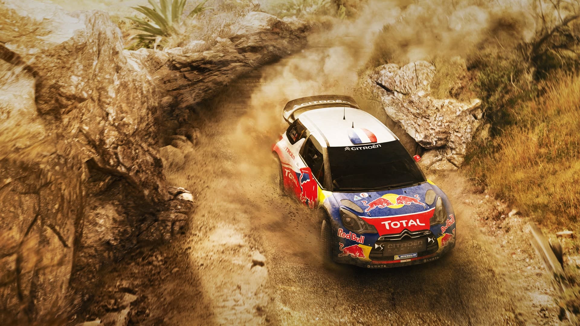 Sébastien Loeb Rally EVO Standard