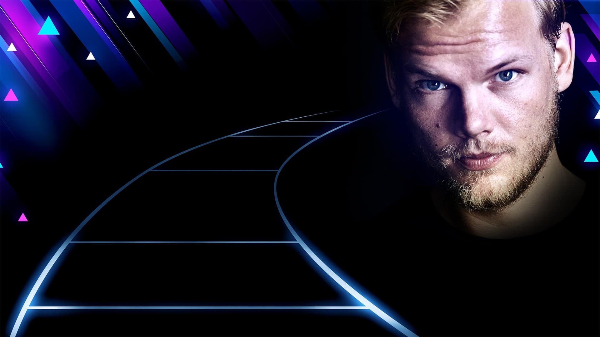 AVICII Invector Standard