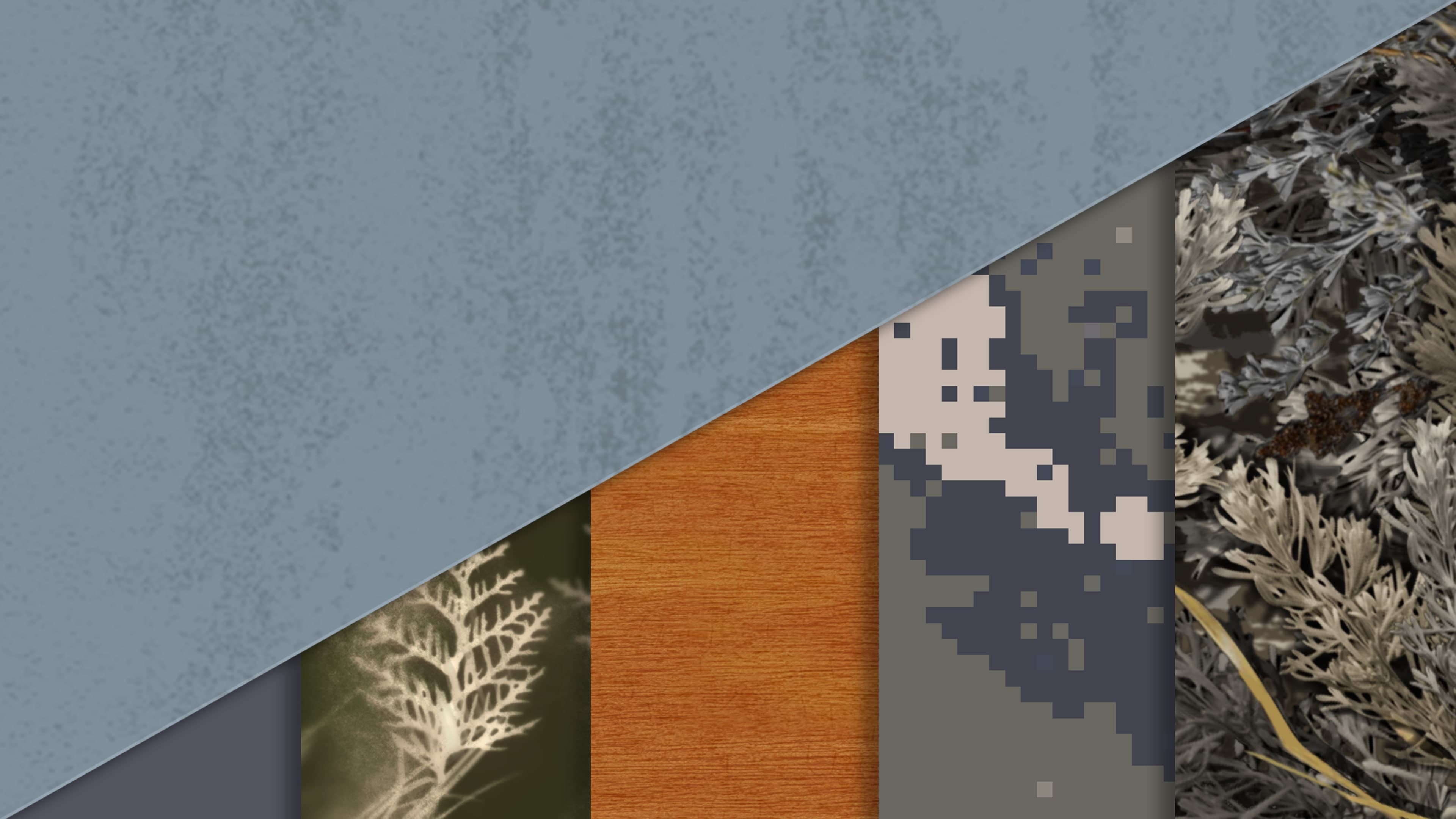 theHunter: Call of the Wild - Parque Fernando Cosmetic Pack Addon