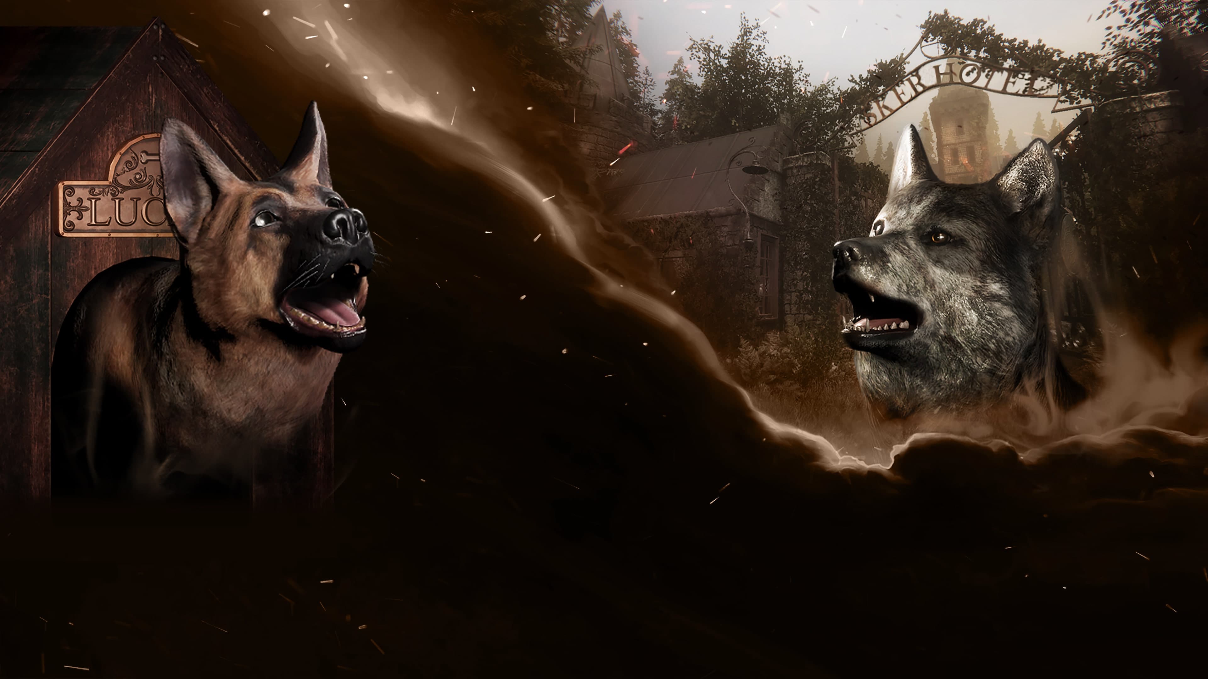 Sker Ritual - Friends in the Darkness Addon
