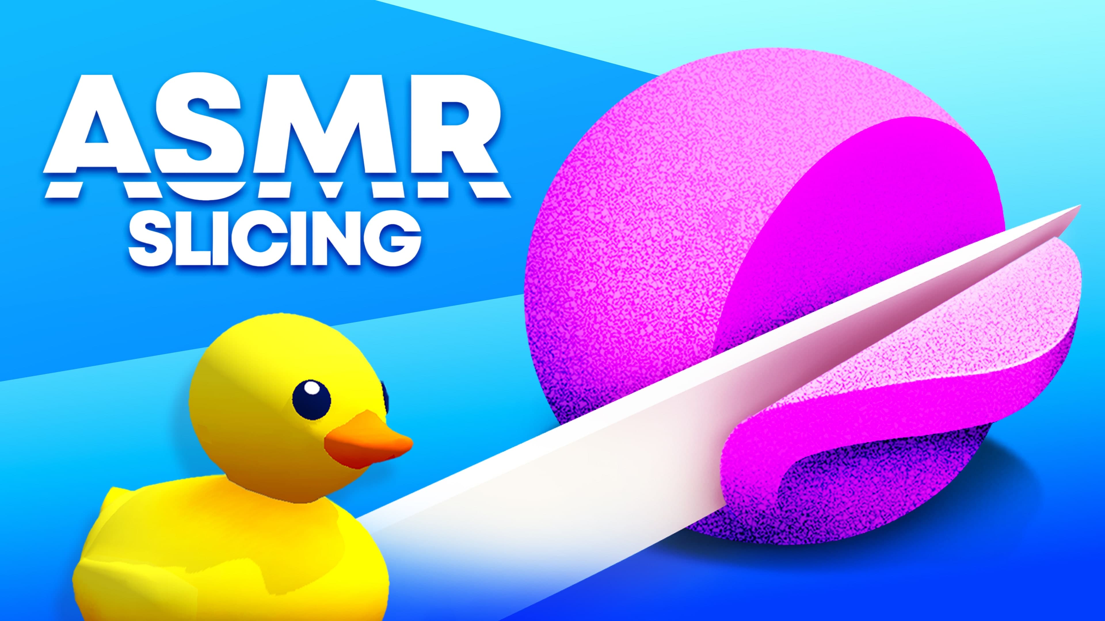 ASMR Slicing Standard