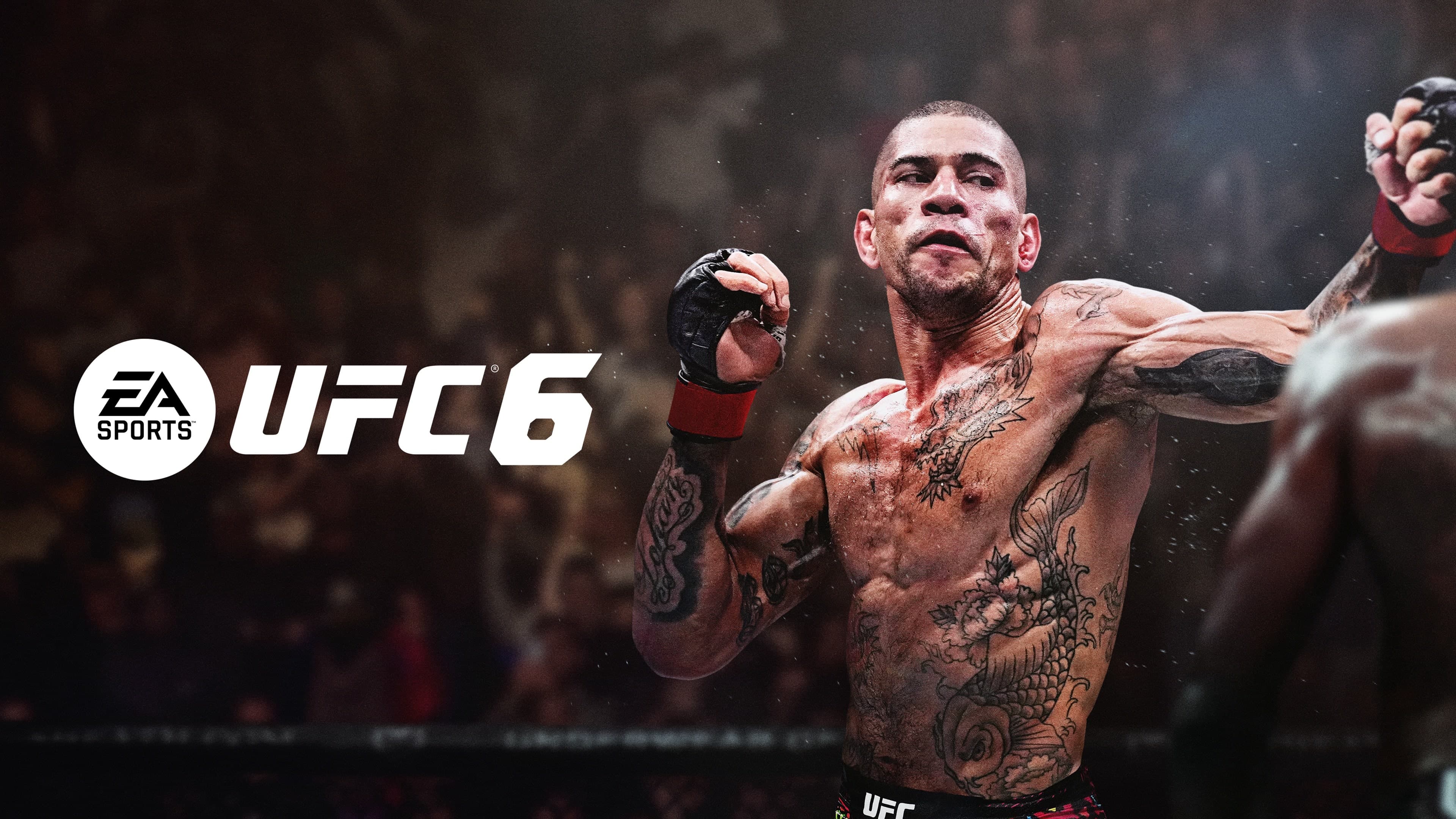 UFC 6 Standard