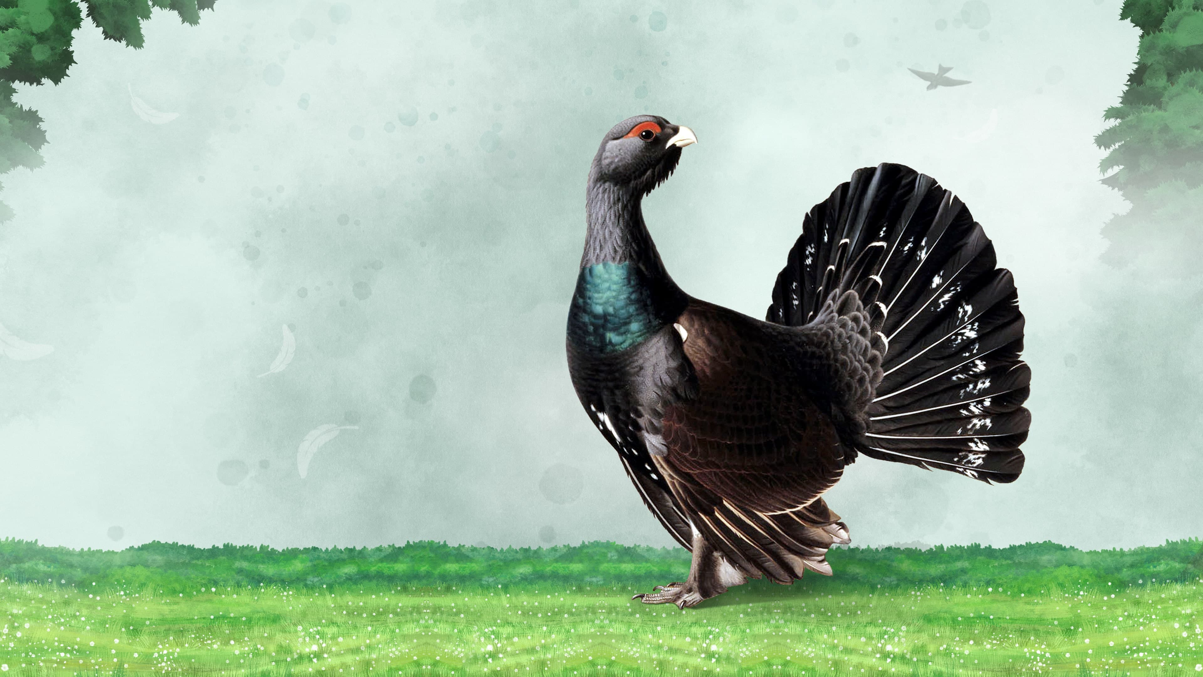 Wingspan Bird Pack: British Birds PS4 & PS5 Addon